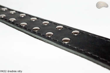 PA52 leather belt with flat decorative rivets