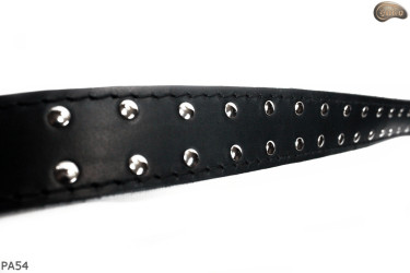 PA54 leather belt with flat decorative rivets