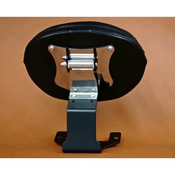 Driver's backrest semi-movable VN 2000