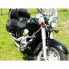 Paramotore CLASSIC  KAWASAKI VN 900
